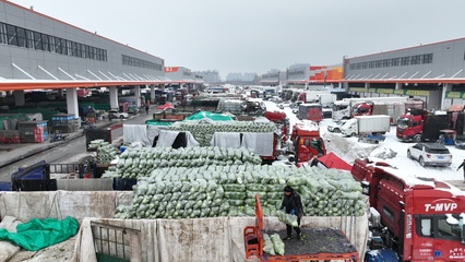 河北高碑店:降雪来袭 市场物丰价稳保供应