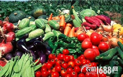 农业农村部 将着力解决贫困地区农产品卖难